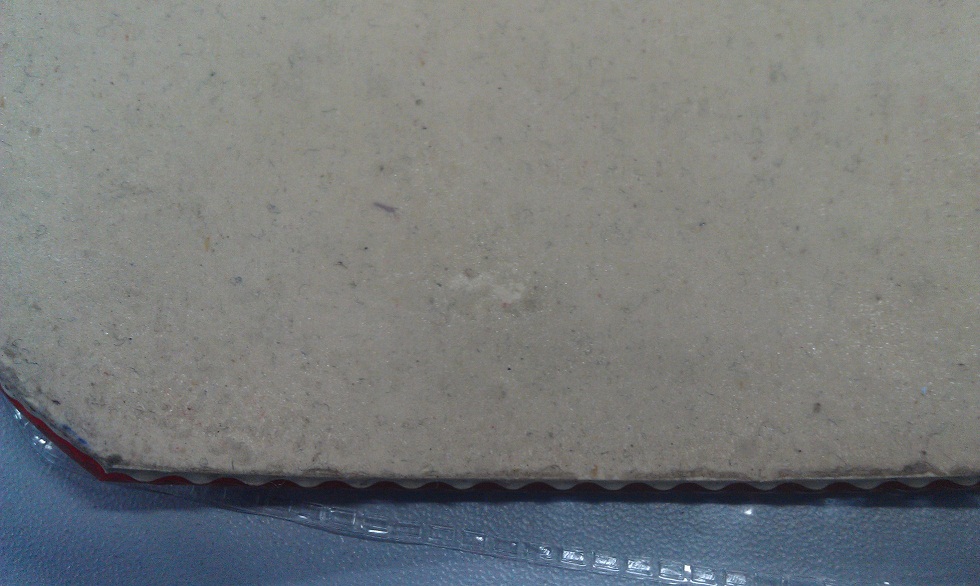 ��200���졿��������NITTAKU���3+DONIC���𡿡�����