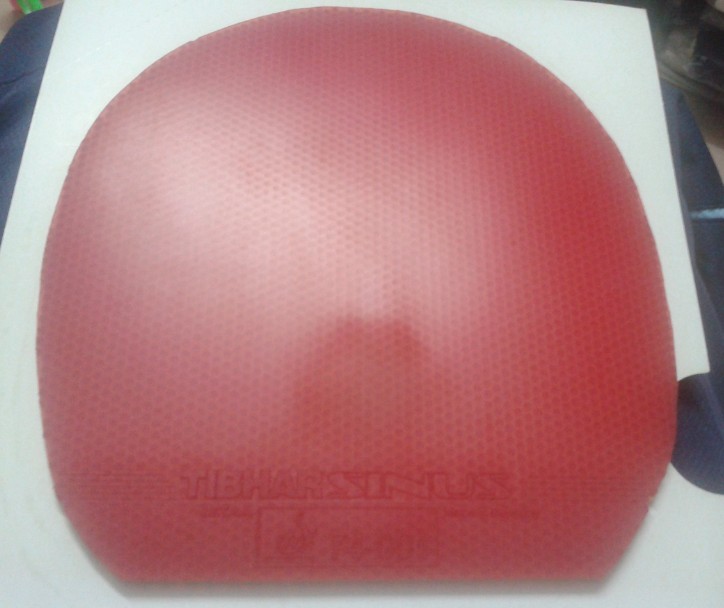 vega�й�+���������240����