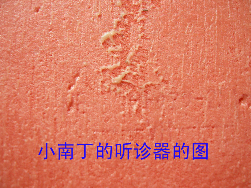 ������T05��64��05 05FX