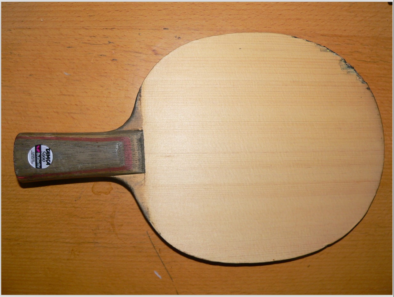 ��֧������������̼