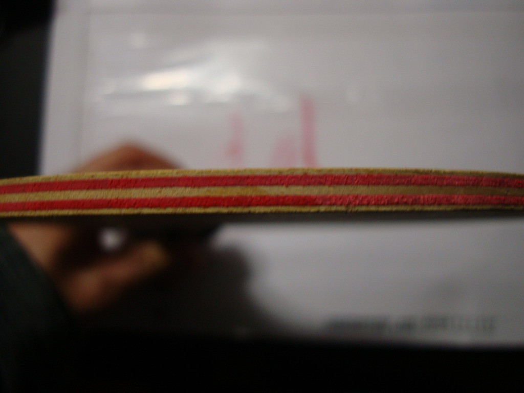 �� ����˱�ķ ά���й��� 300���ʡ�