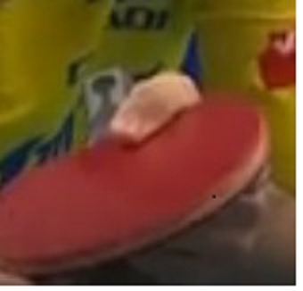 []ûùzlc