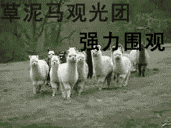 ����YE.���CL. ���� NP700 �������Ҳ���ۣ�