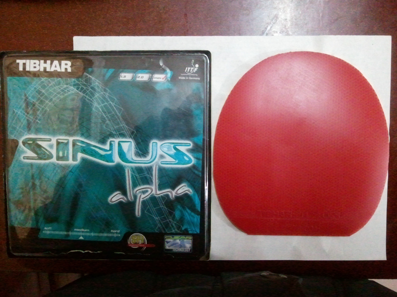 ����ߴ磬ͦ��һ������������ɫ�¸µ�