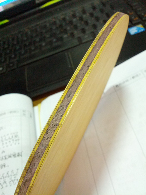 [ע��] ��˹�ٿ���̼��V1 210����  Ҳ���Ի���ֻ���ܺ��Ļ�