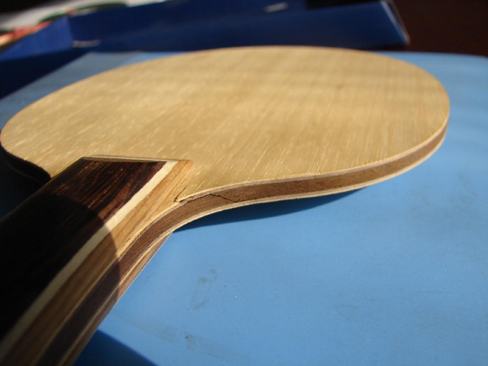 �޸���˹�Ŀ�""��˫��""������""�����""---���������۶ϵ�������ϰ����