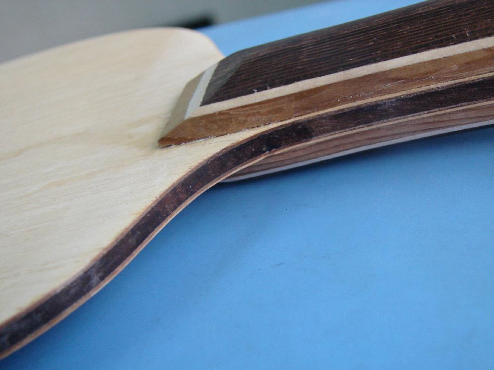 �޸���˹�Ŀ�""��˫��""������""�����""---���������۶ϵ�������ϰ����