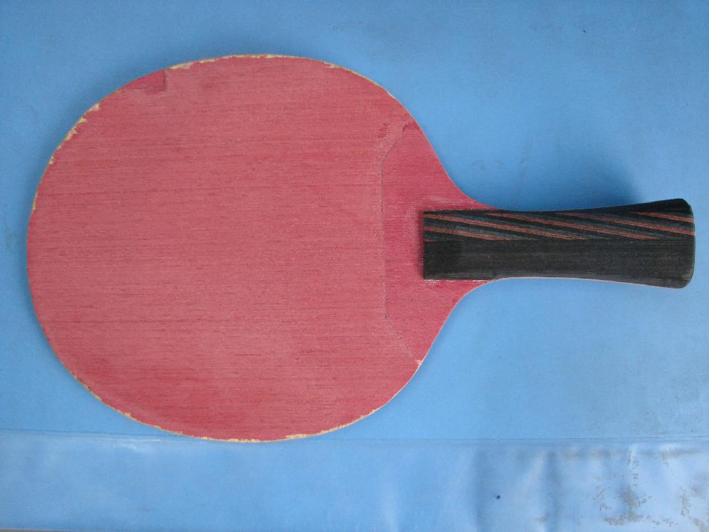 �޸���˹�Ŀ�""��˫��""������""�����""---���������۶ϵ�������ϰ����