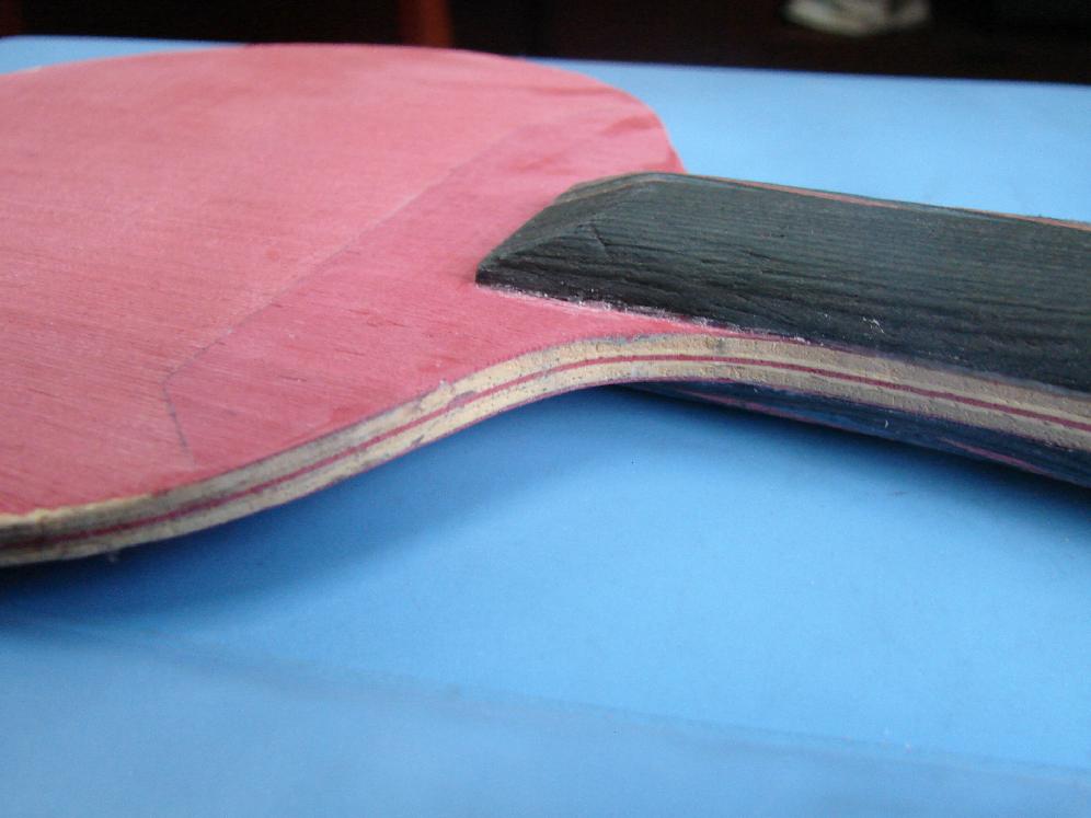 �޸���˹�Ŀ�""��˫��""������""�����""---���������۶ϵ�������ϰ����