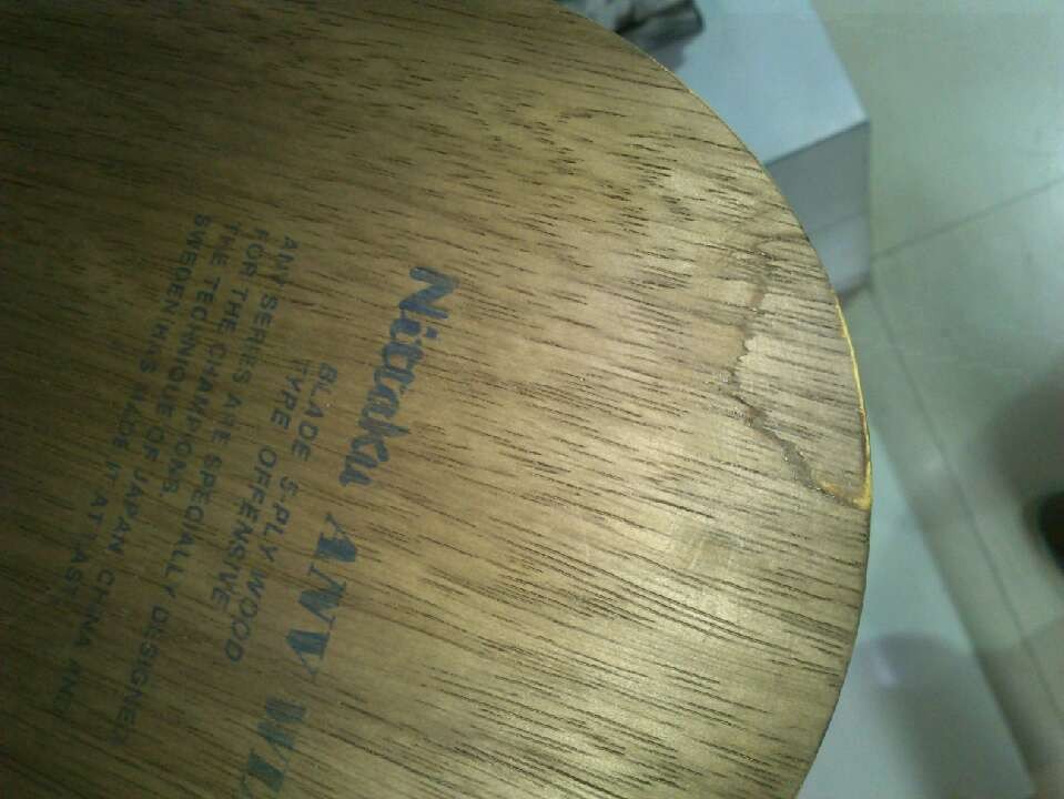 ת������ANV-WL��(������)