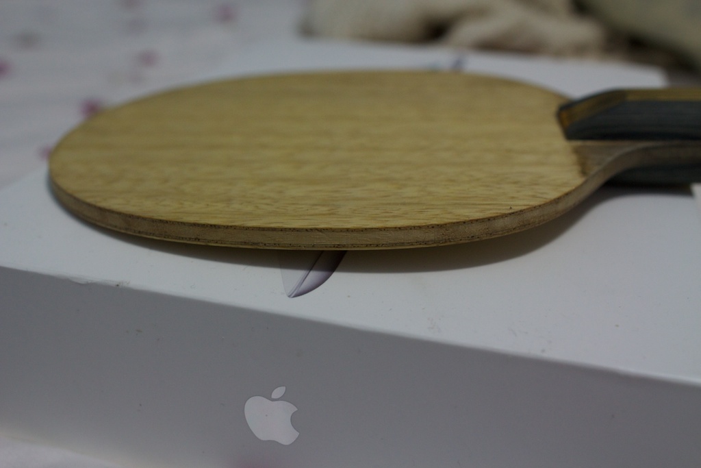 ���ղص�������עFL��STľ������һö�������ֱ���&STˮ����&�������������