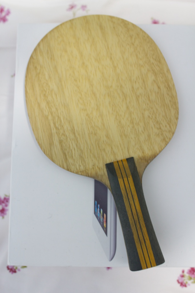 ���ղص�������עFL��STľ������һö�������ֱ���&STˮ����&�������������