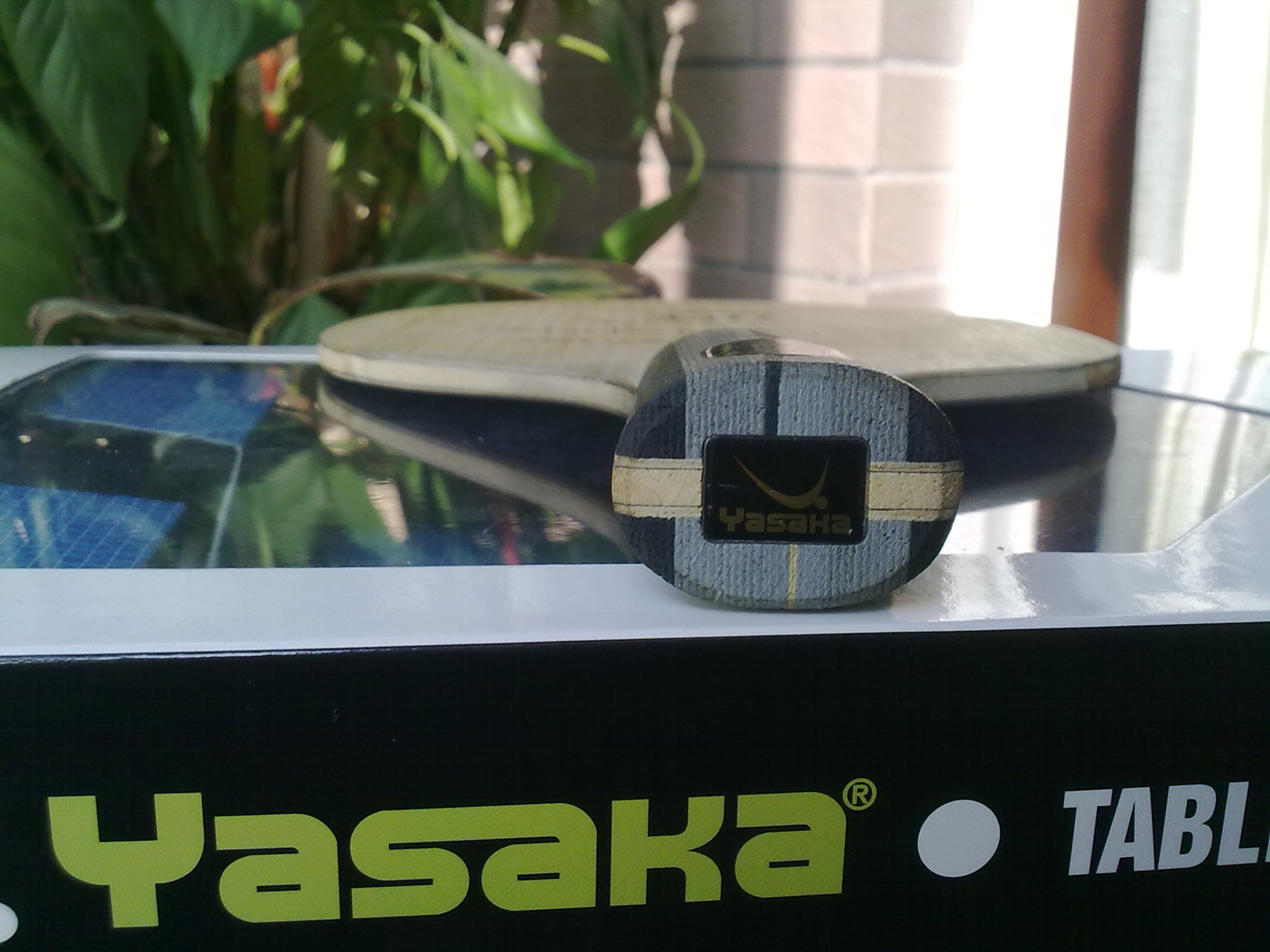 ������ǰ��������л�����̼