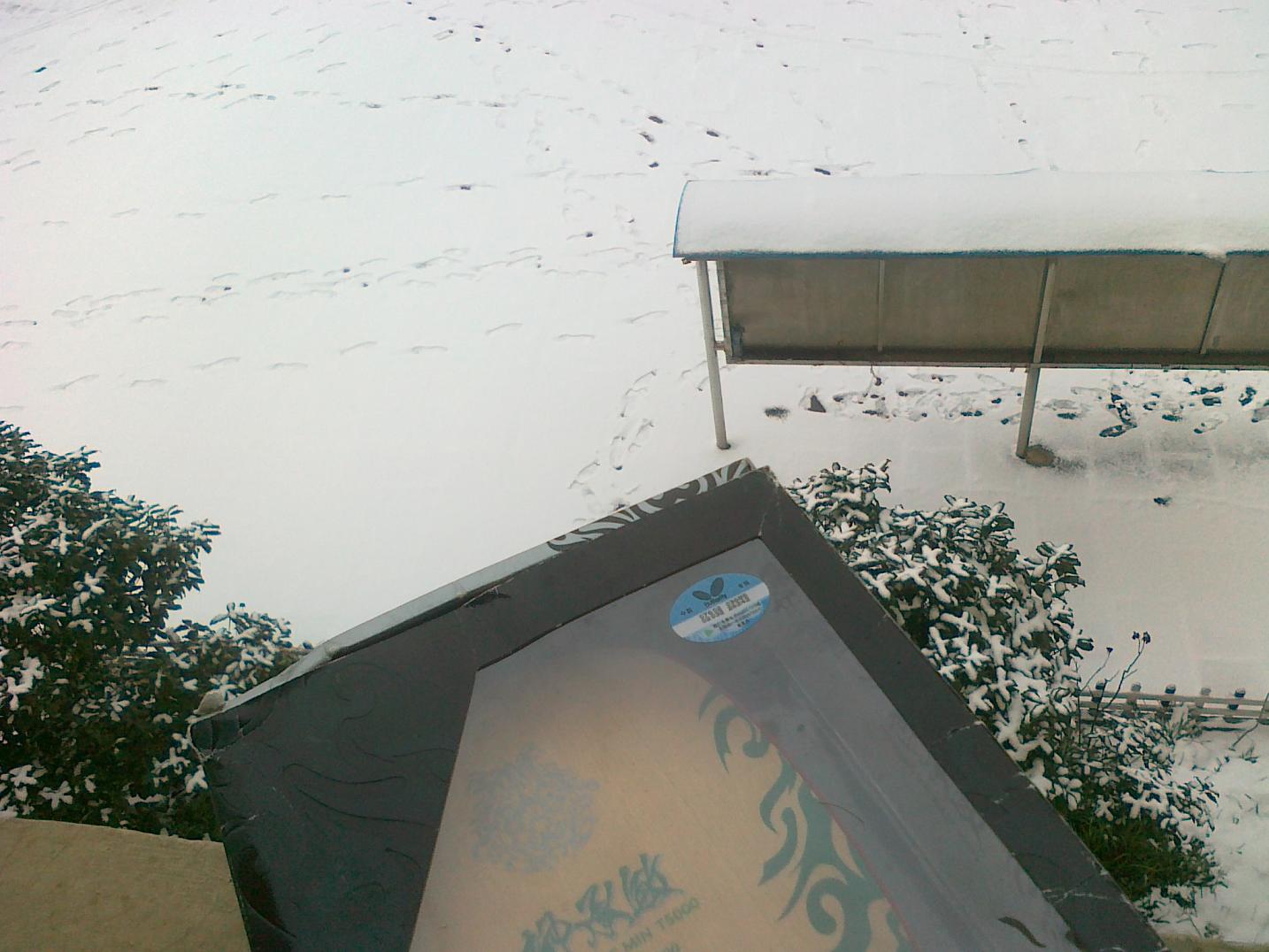 ������ͼ�ˣ���ӭ�������Ʒ��������������Ʒ�л��������Բ�ѯ��α���Σ�������������T5000S...��ֱ�а塣�������������Ҳ�����ۻ�û���գ���