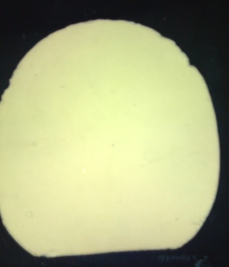 ����˦ƹ��������˶������������ף�������andro��������ȣ�