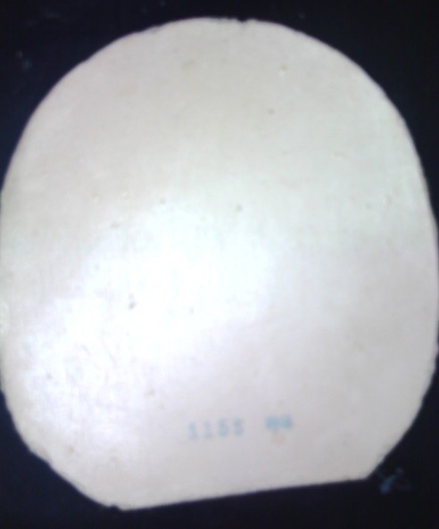 ����˦ƹ��������˶������������ף�������andro��������ȣ�