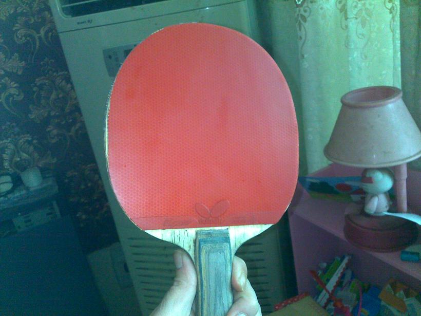 ������ͣ���ɫ�����棬���ף�