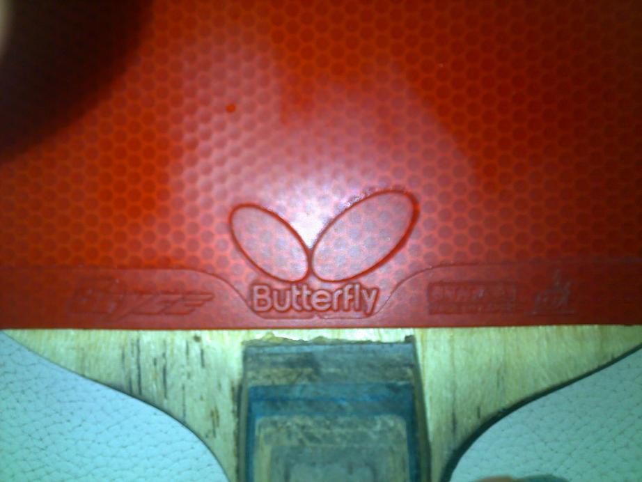 ������ͣ���ɫ�����棬���ף�