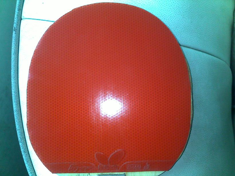 ������ͣ���ɫ�����棬���ף�