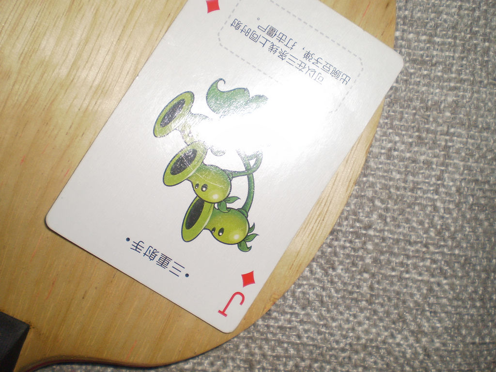 ֧���Դ򣬳�һֻ���ڵķ��г���506