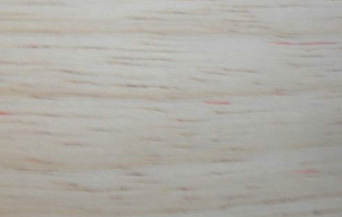 ֧���Դ򣬳�һֻ���ڵķ��г���506