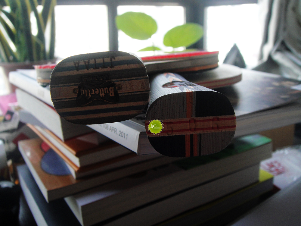 ������³裺������ VISCARIA     and     ����3�ֱ� 506