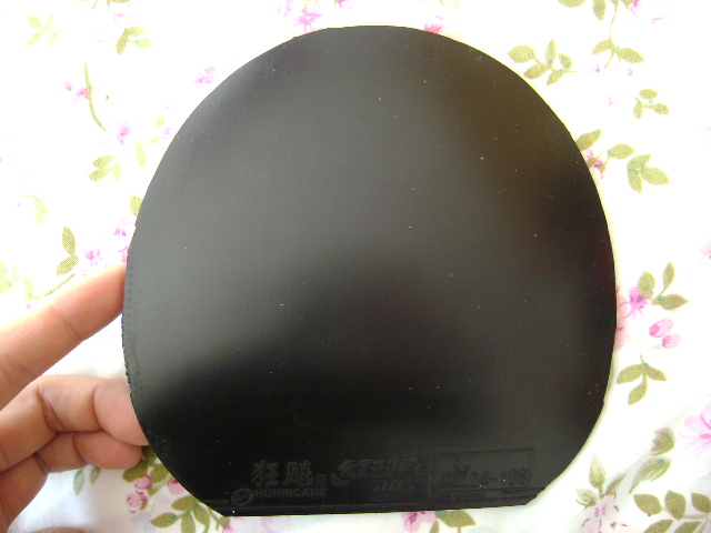 �����ɫ����׽������230 �������T05 �� ��������� �� �տ�)�ټ�һЩ�����˶���