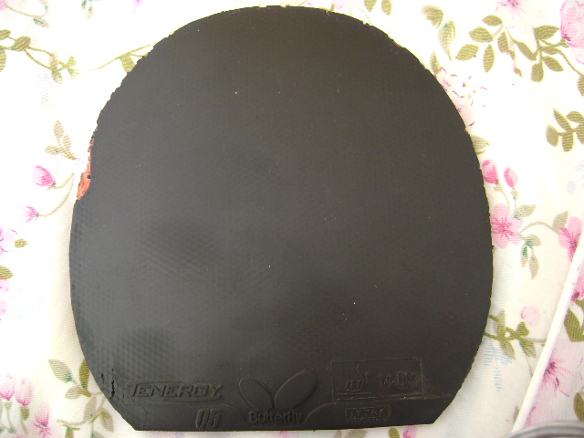 �����ɫ����׽������230 �������T05 �� ��������� �� �տ�)�ټ�һЩ�����˶���