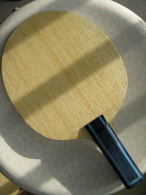 ���ǵ�������սVIS