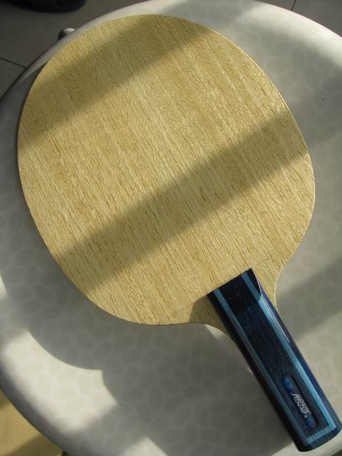 ���ǵ�������սVIS