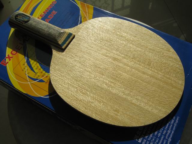 ���ǵ�������սVIS