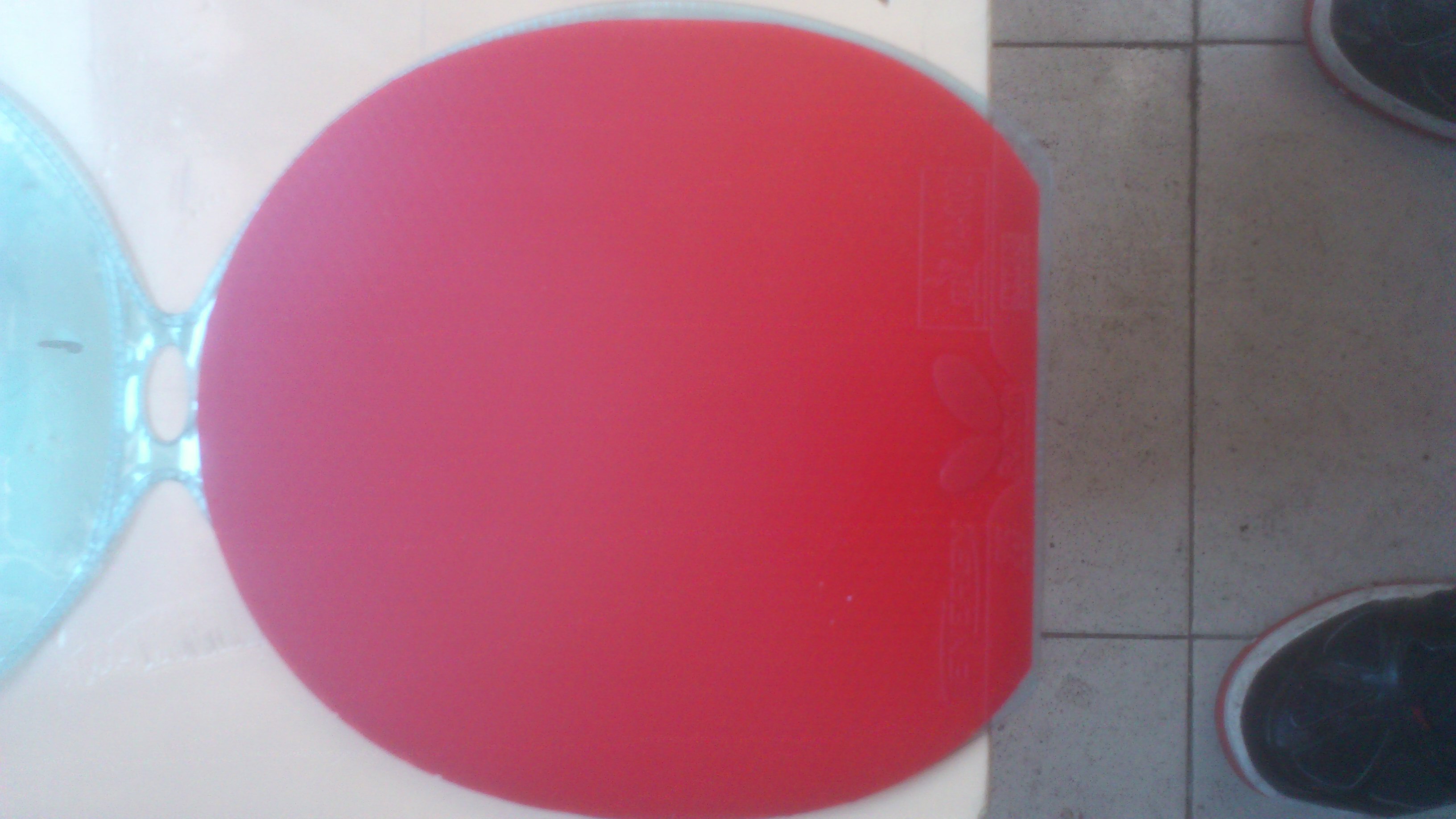 ���㶫��1111111111111111111111