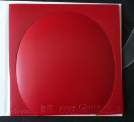 9.99�׽�.XIOM��V.��ɫ.����