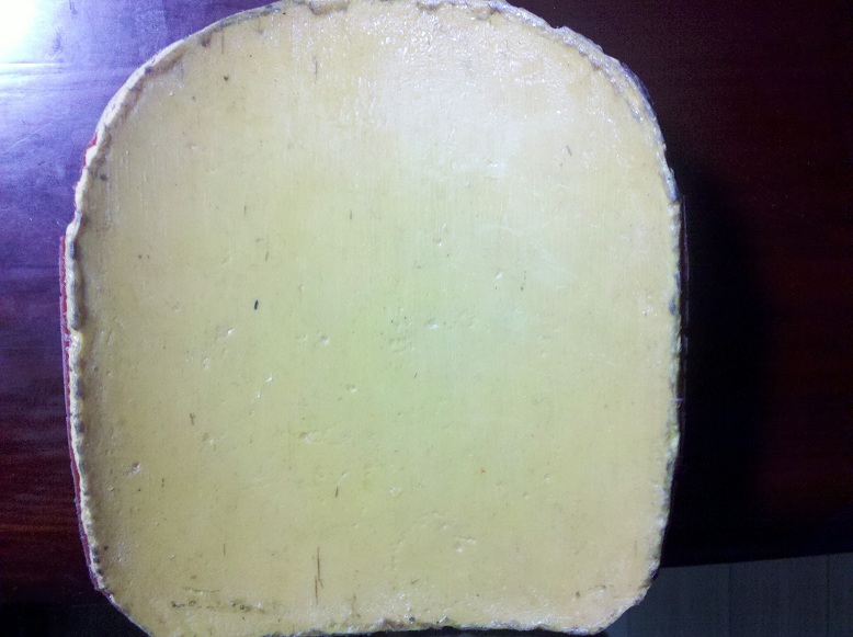 ���100���ʳ���ֱtibhar  rapid  d.tecs��sriver.65���ʳ���ֱ���� ��ɫf1