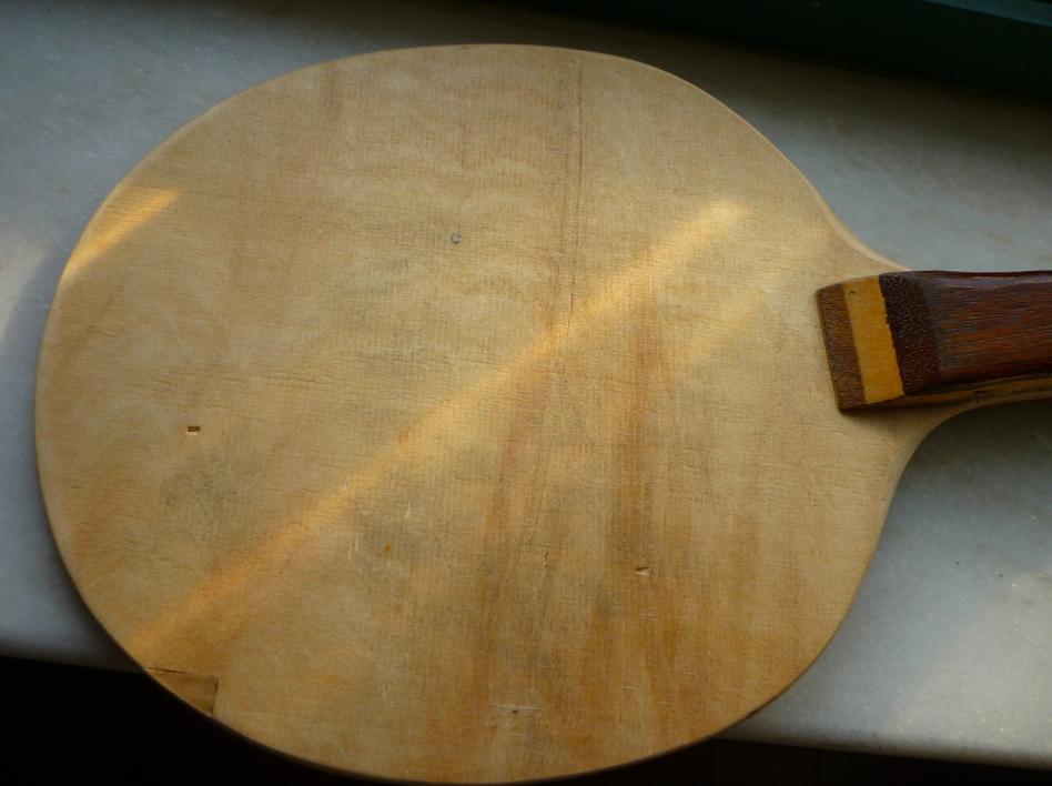 ����սvis������սCL��