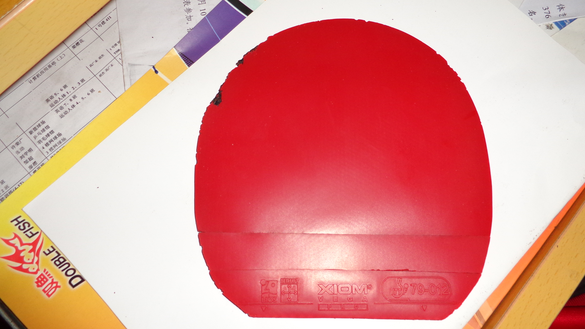 ��ɫ������V��ʡ�񡣽���9����