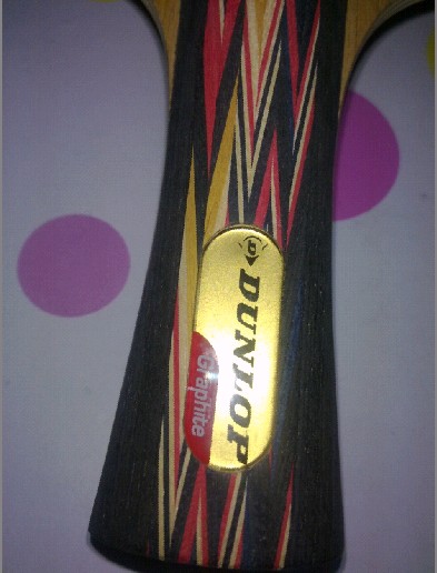 ����DUNLOP<��»��>���ģ���ӭ��ҹ��١�