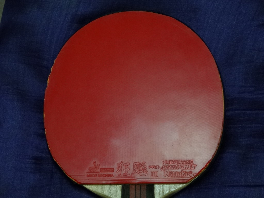 �ó�ɫ������������������