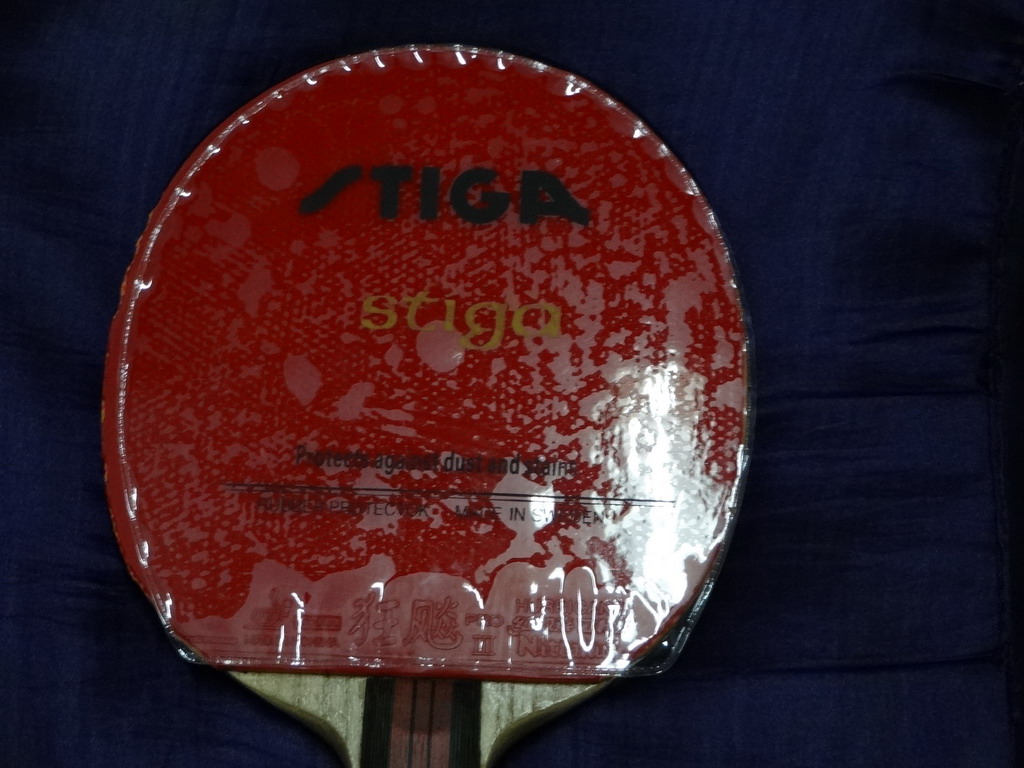 �ó�ɫ������������������