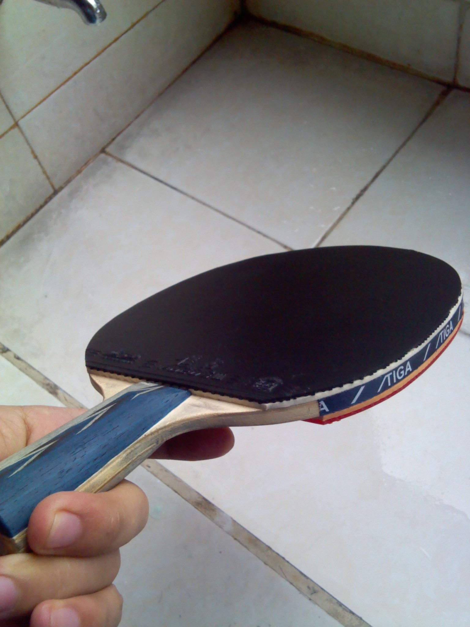 ��9.5���¾���9������