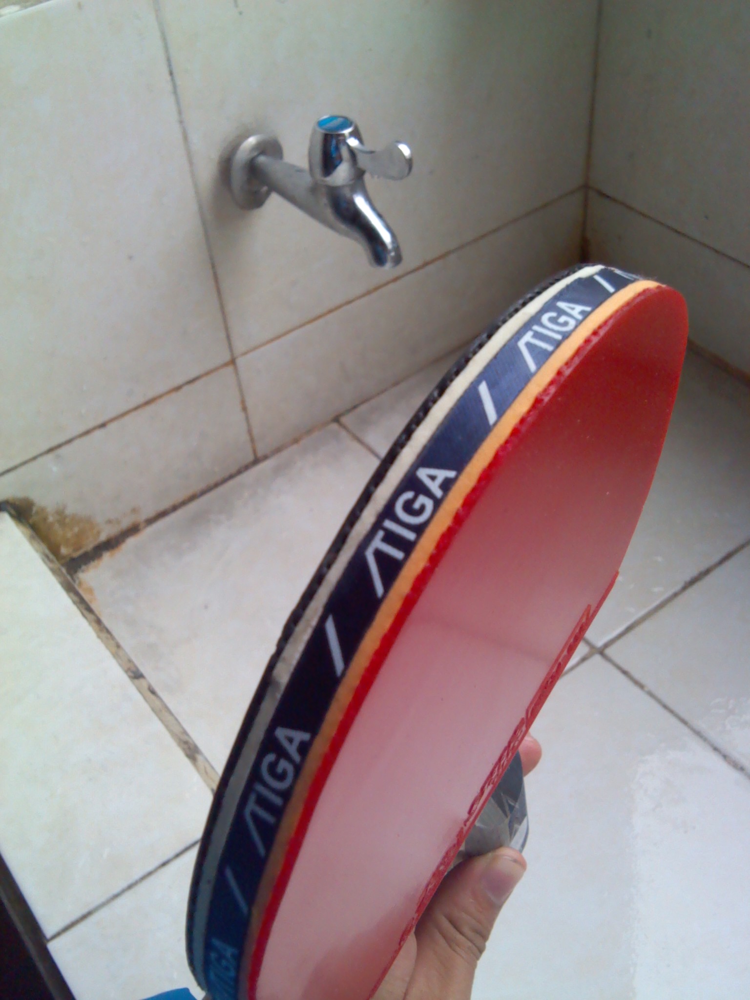 ��9.5���¾���9������