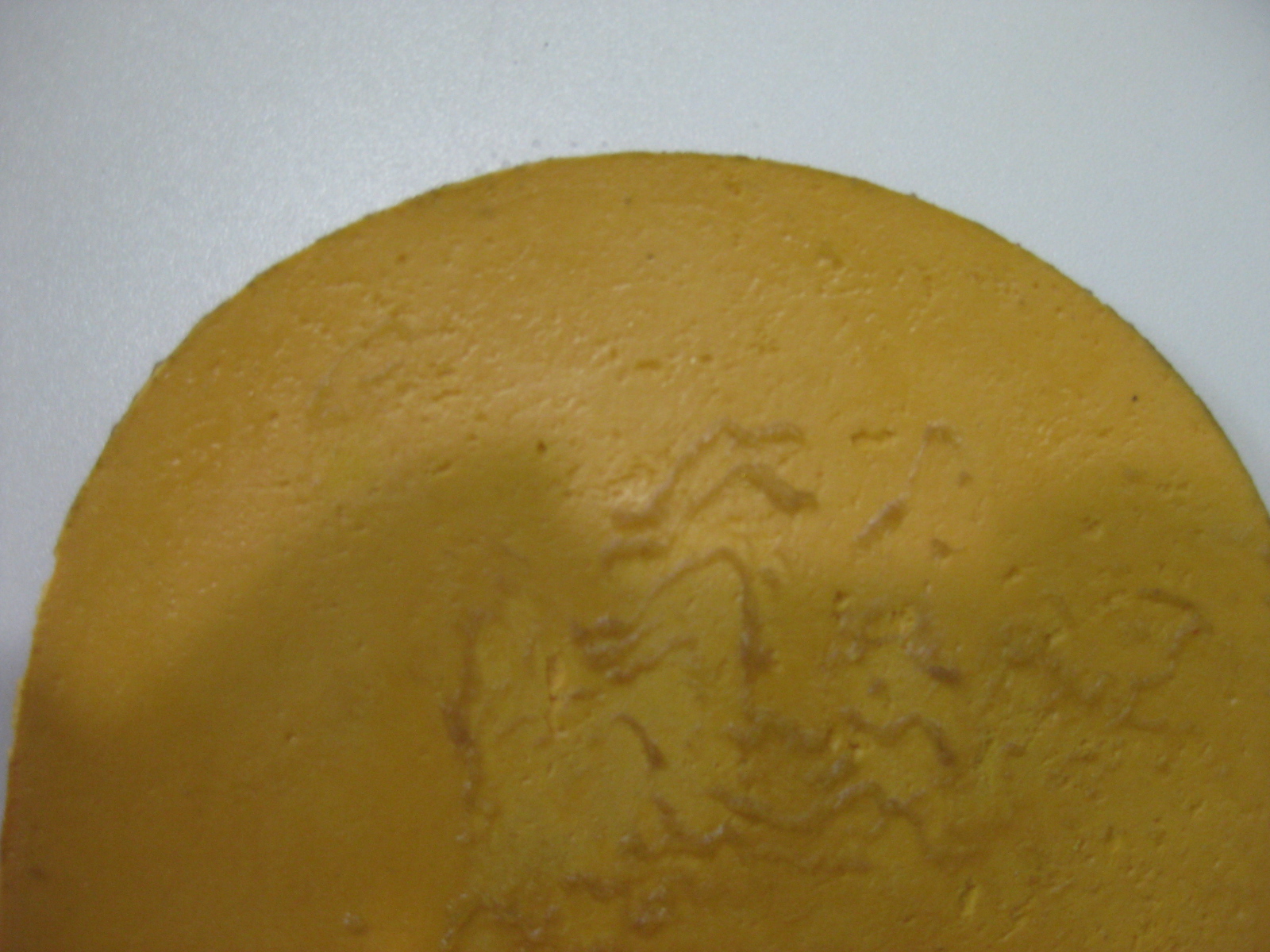 [ԭ��]��������Ʒ��ɫEL MAX