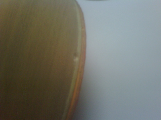 ������ŷ��YEO��������280����