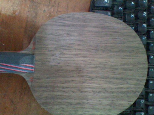 ���ݳ�stiga ����oc fl��