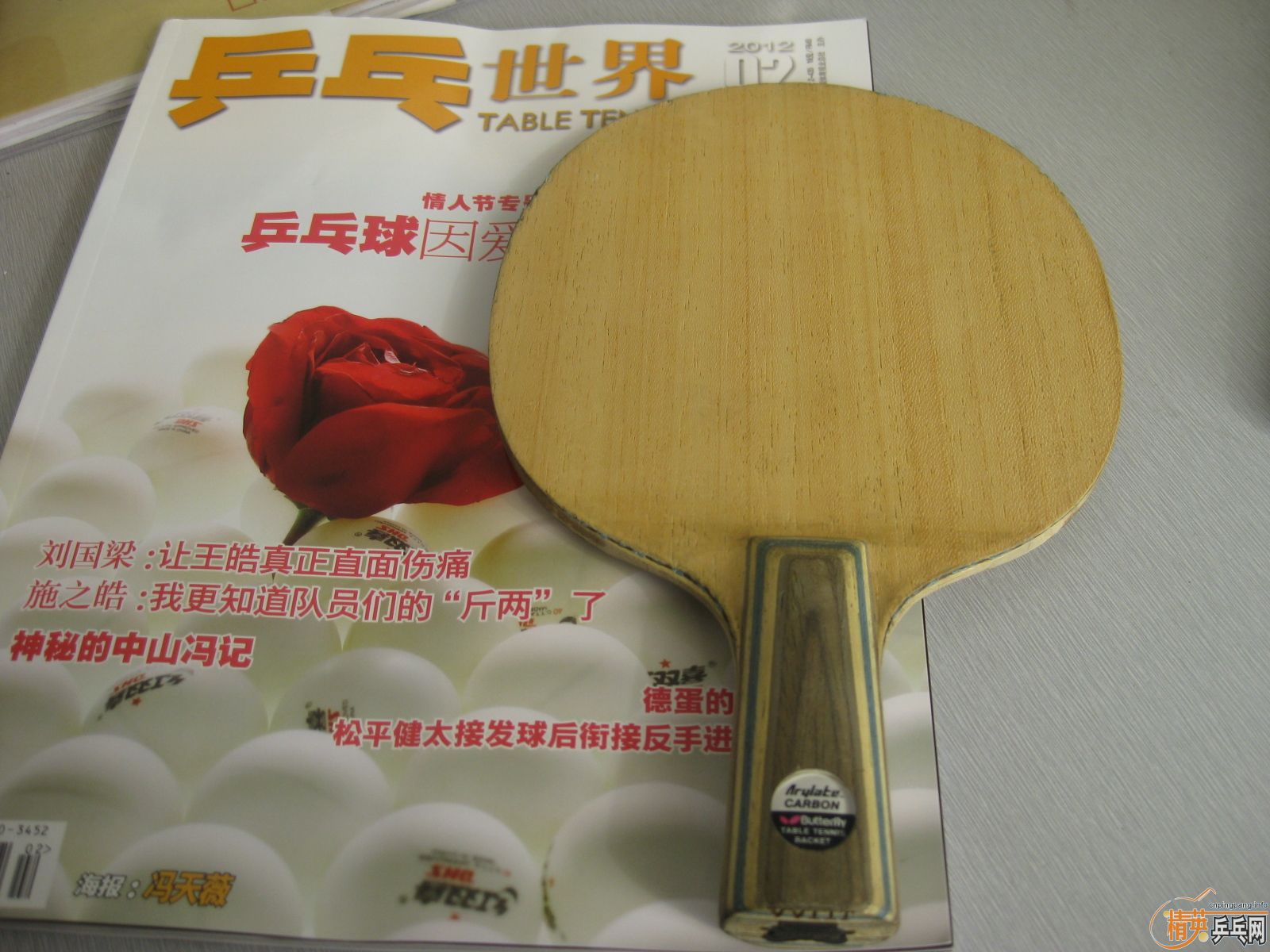 �������ƺ�������ϲ���Ľ�