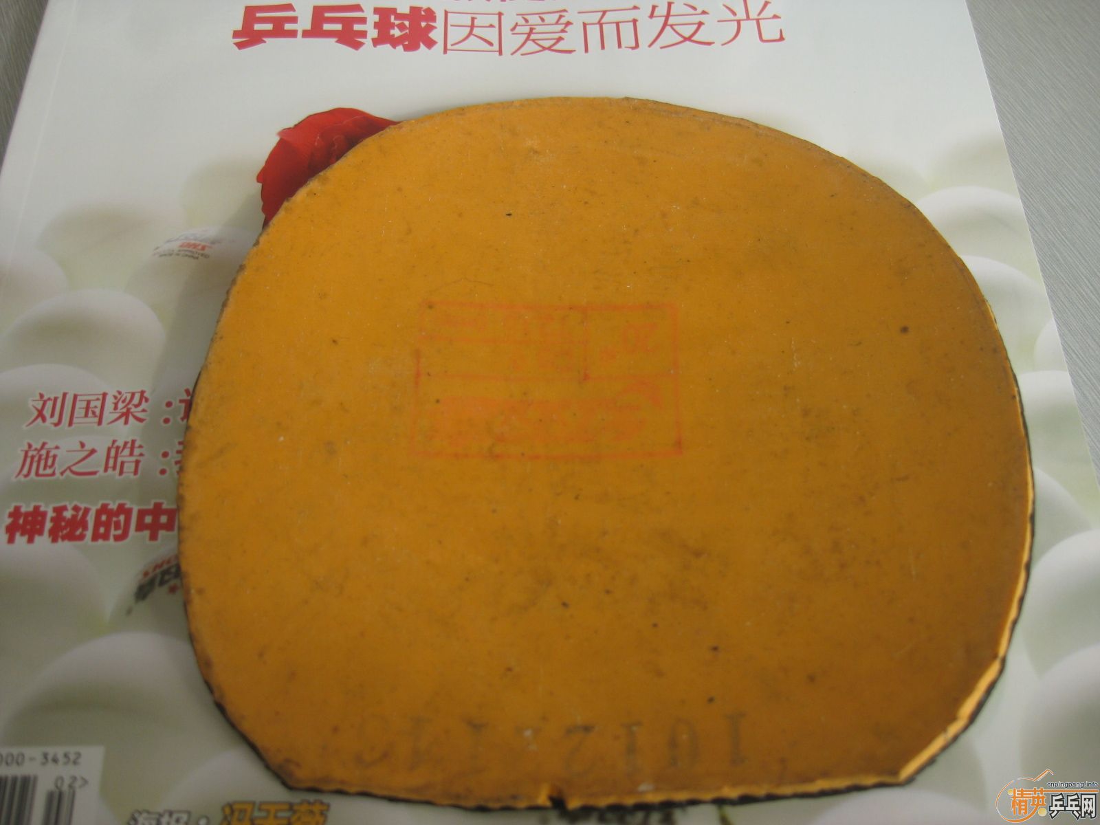 �������ƺ�������ϲ���Ľ�