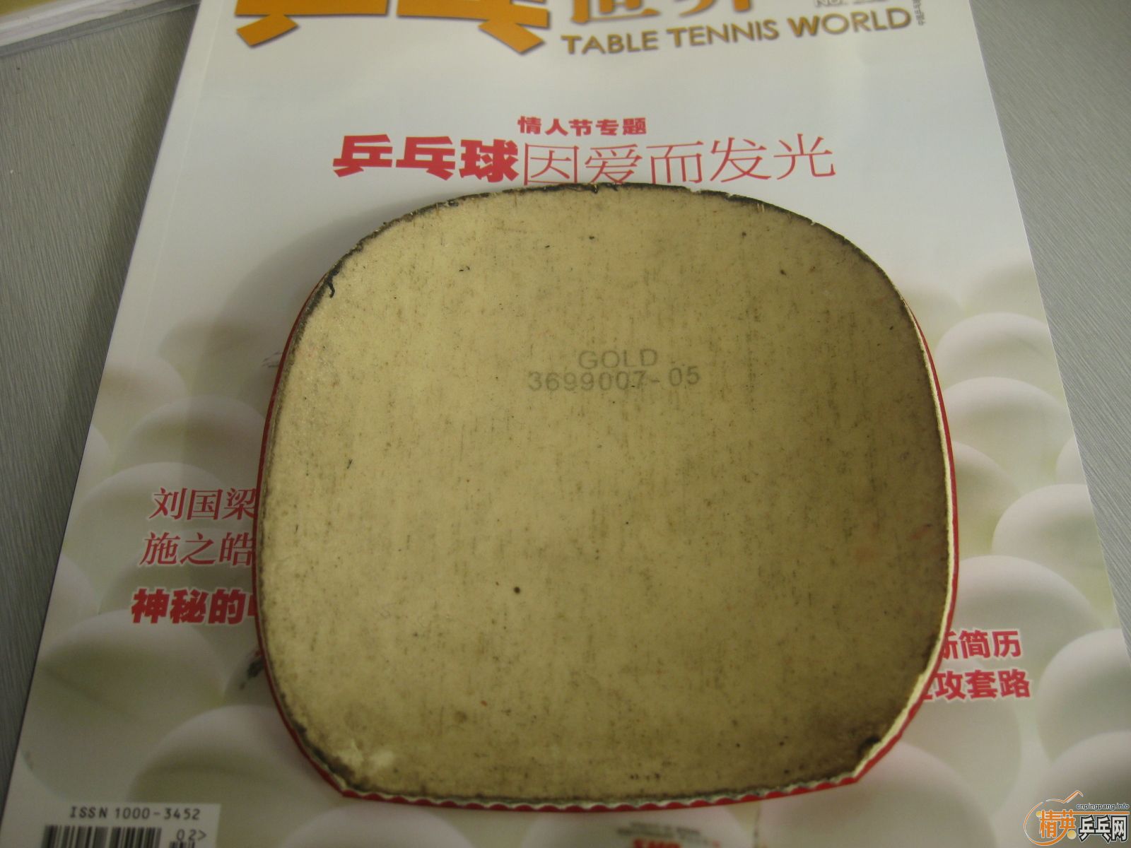 �������ƺ�������ϲ���Ľ�