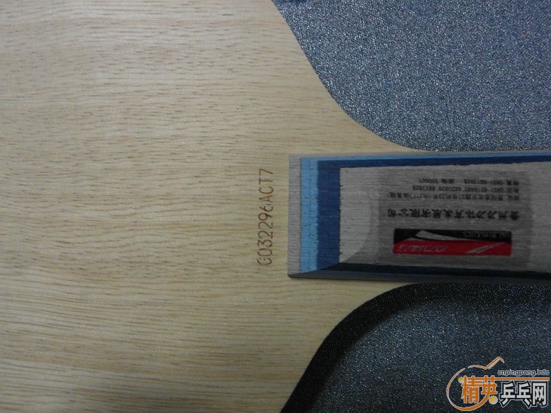 f1VKP46N.jpg