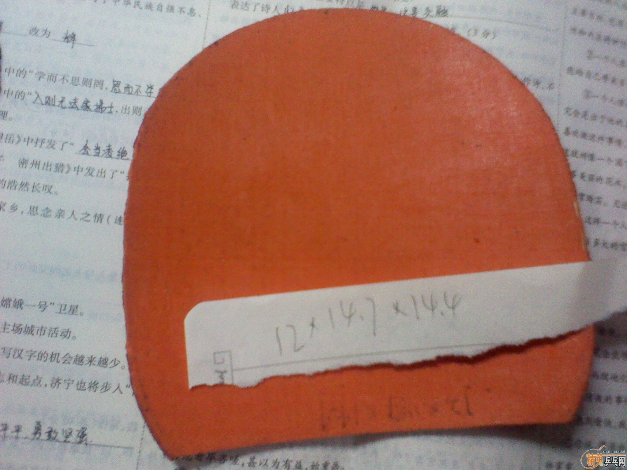 С�����������������zap�����������ˣ���