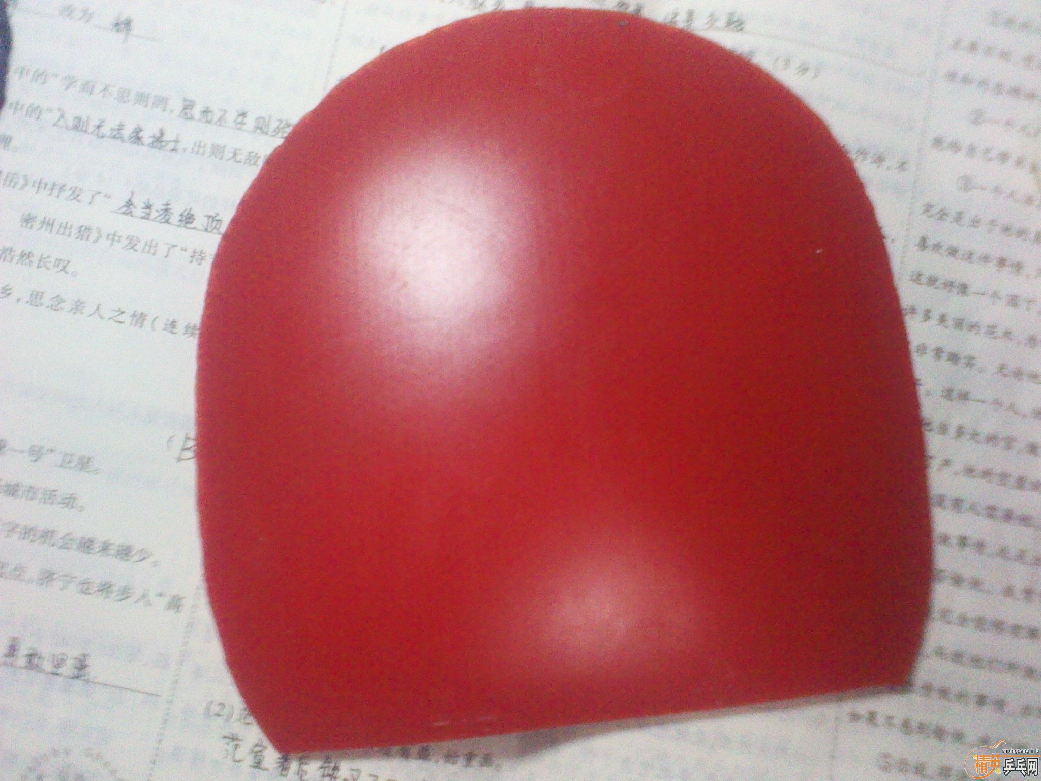 С�����������������zap�����������ˣ���